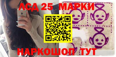 мяу мяу мука Будённовск