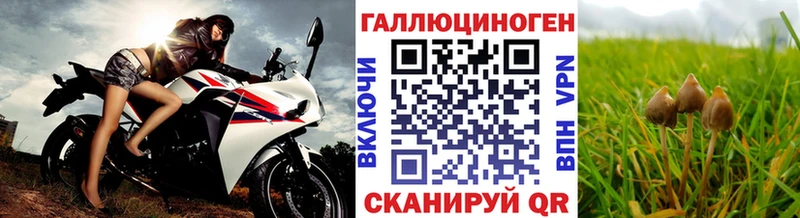 Псилоцибиновые грибы мицелий Конаково